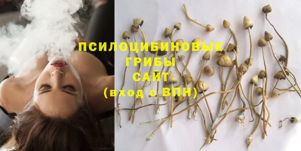 крисы Арсеньев